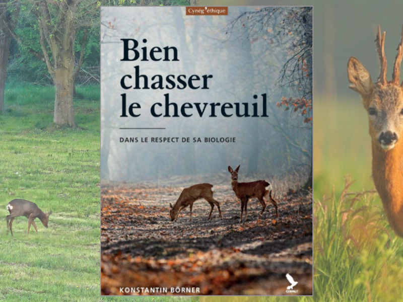 &laquo;&nbsp;Bien chasser le chevreuil.&nbsp;&raquo; Un livre indispensable !